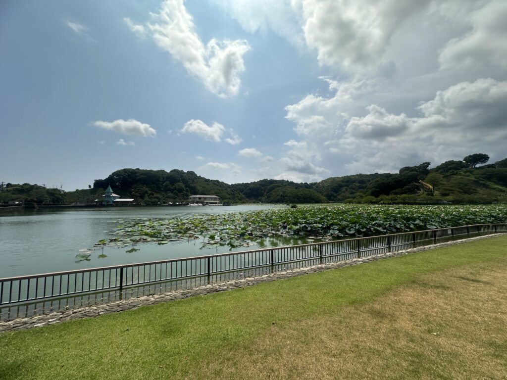 蓮華寺池公園バナー