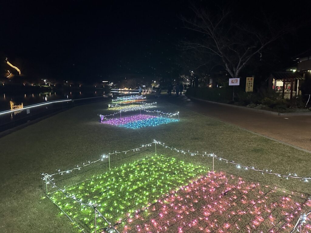 入口付近の花畑をイメージした光の装飾